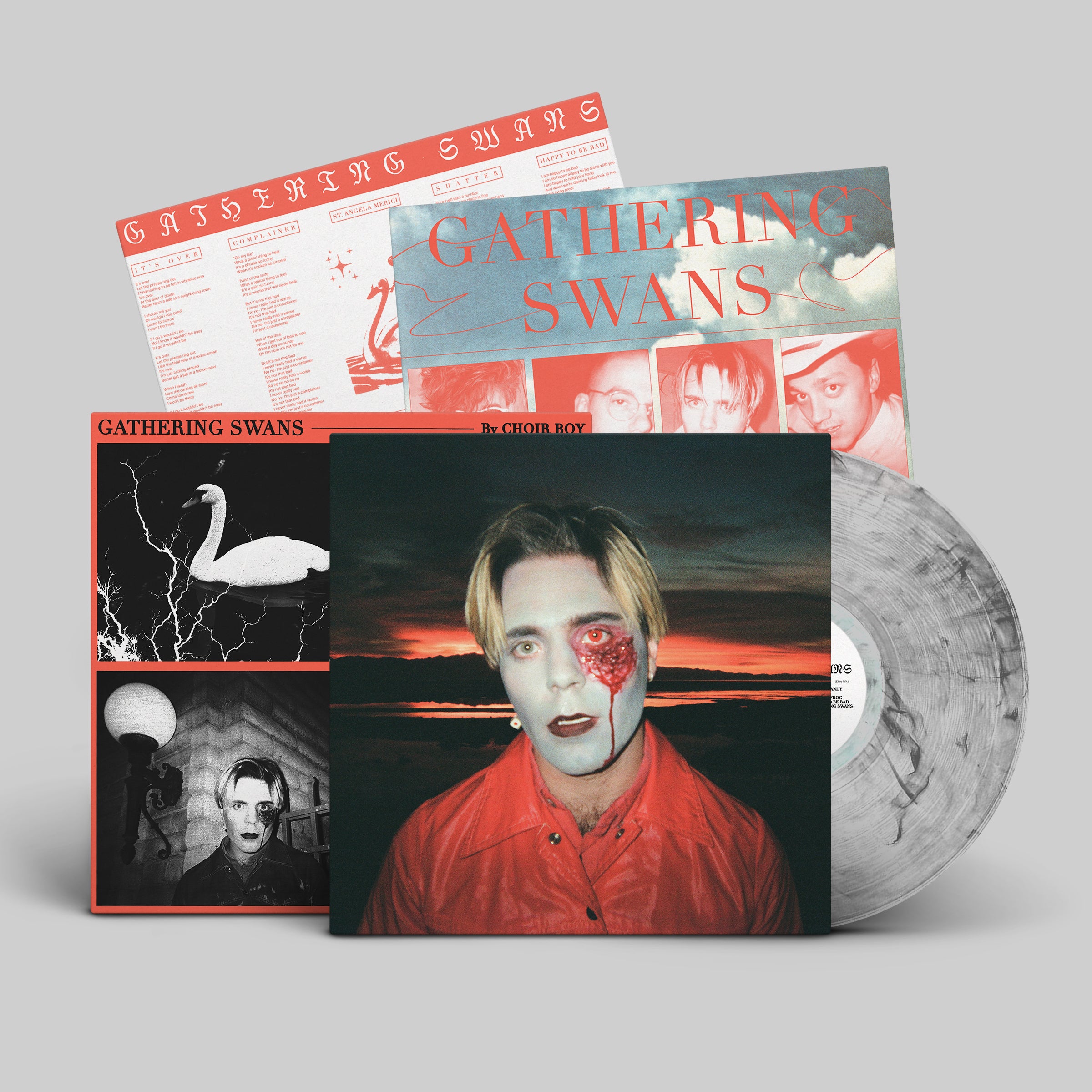 dais-choir-boy-gathering-swans-vinyle-lp-noir-indie-pop image 3