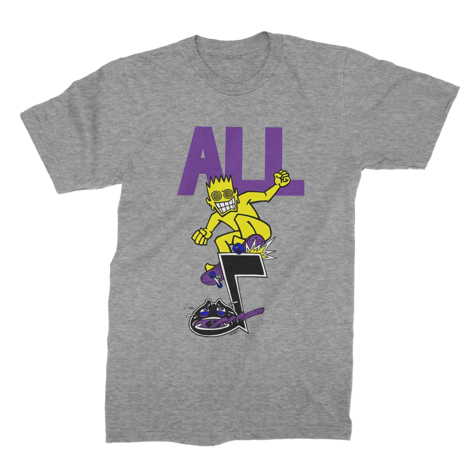 all-skateroy-t-shirt-gris-coton-coupe-standard image 1