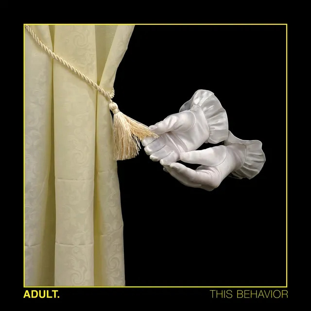 dais-records-adult-this-behavior-vinyle-noir-lp image 1