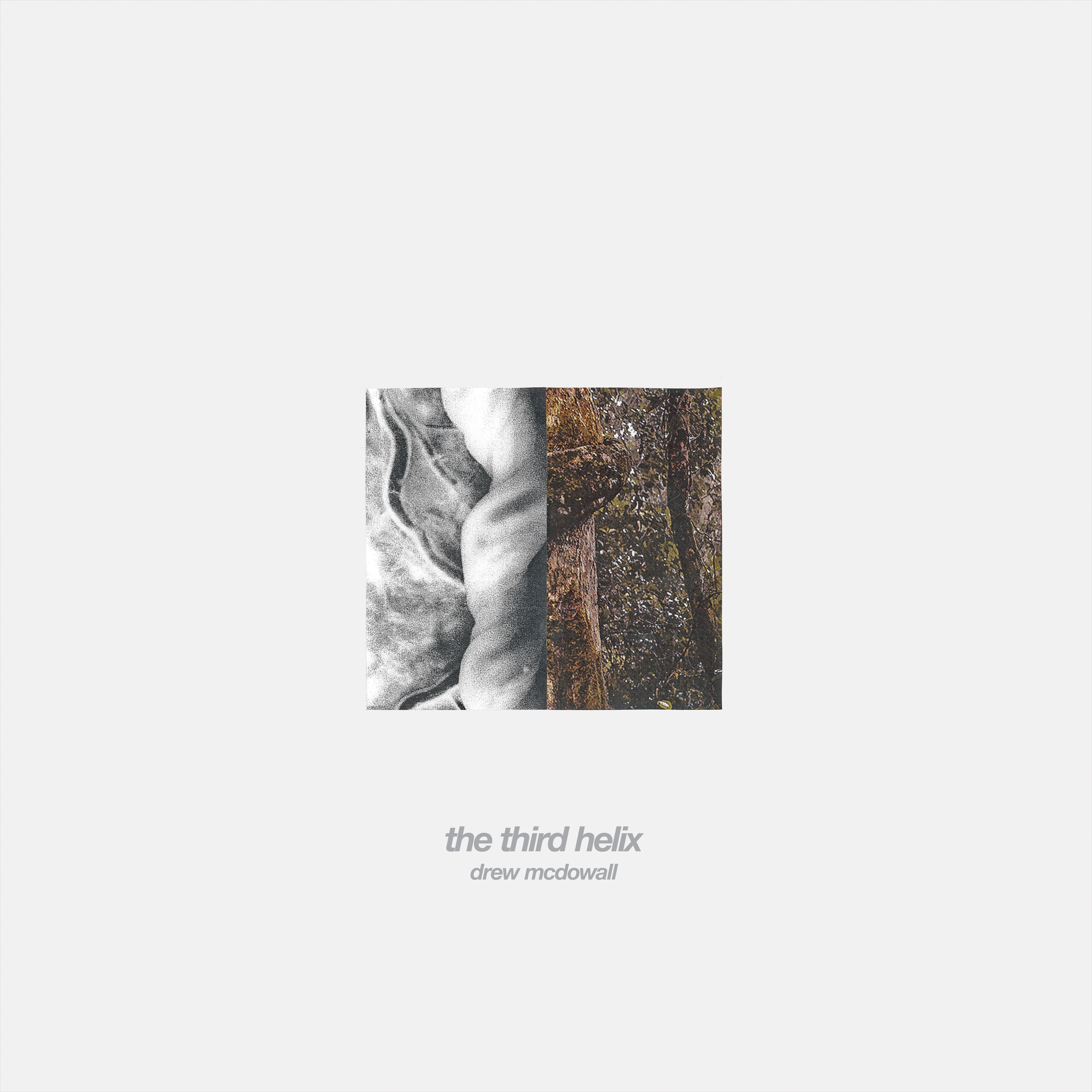 drew-mcdowall-the-third-helix-lp-vinyle-noir-lectro image 1
