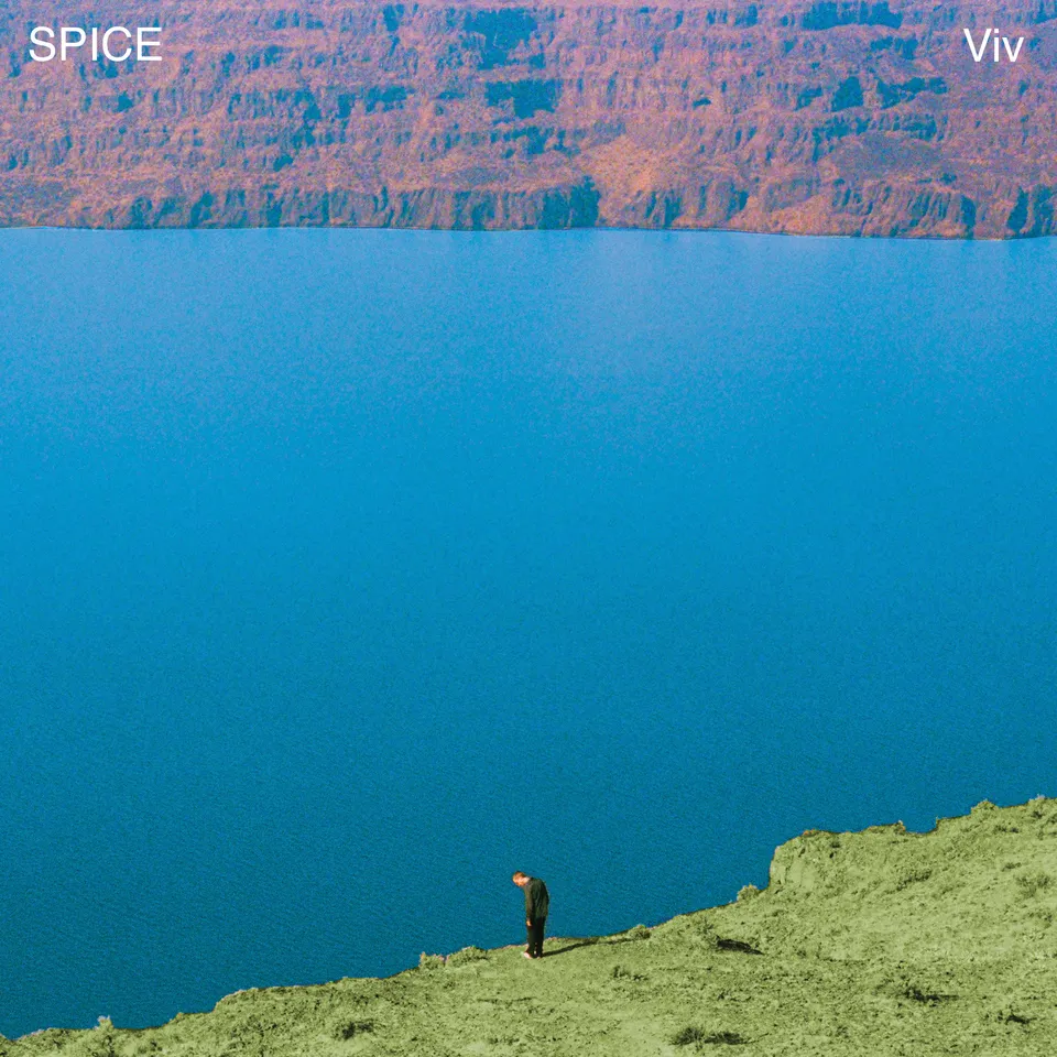 dais-records-spice-viv-vinyle-lp-noir-rock-californien image 1