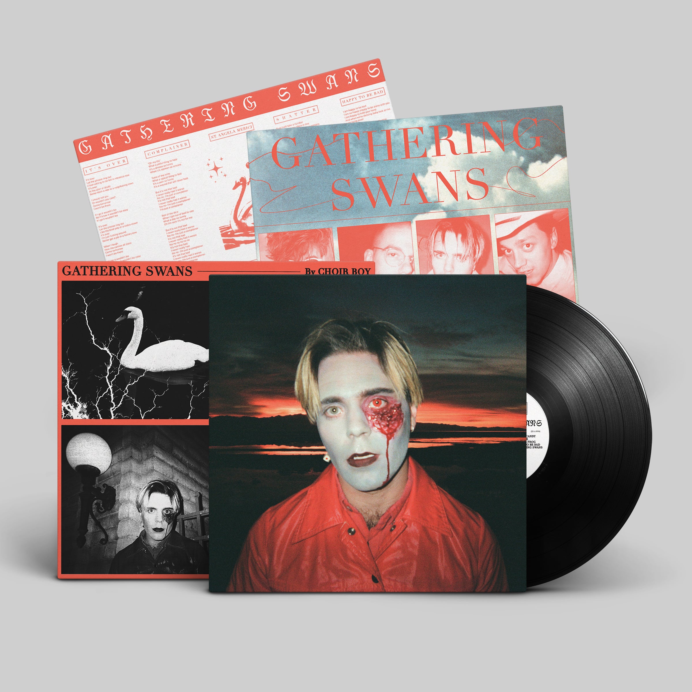 dais-choir-boy-gathering-swans-vinyle-lp-noir-indie-pop image 6