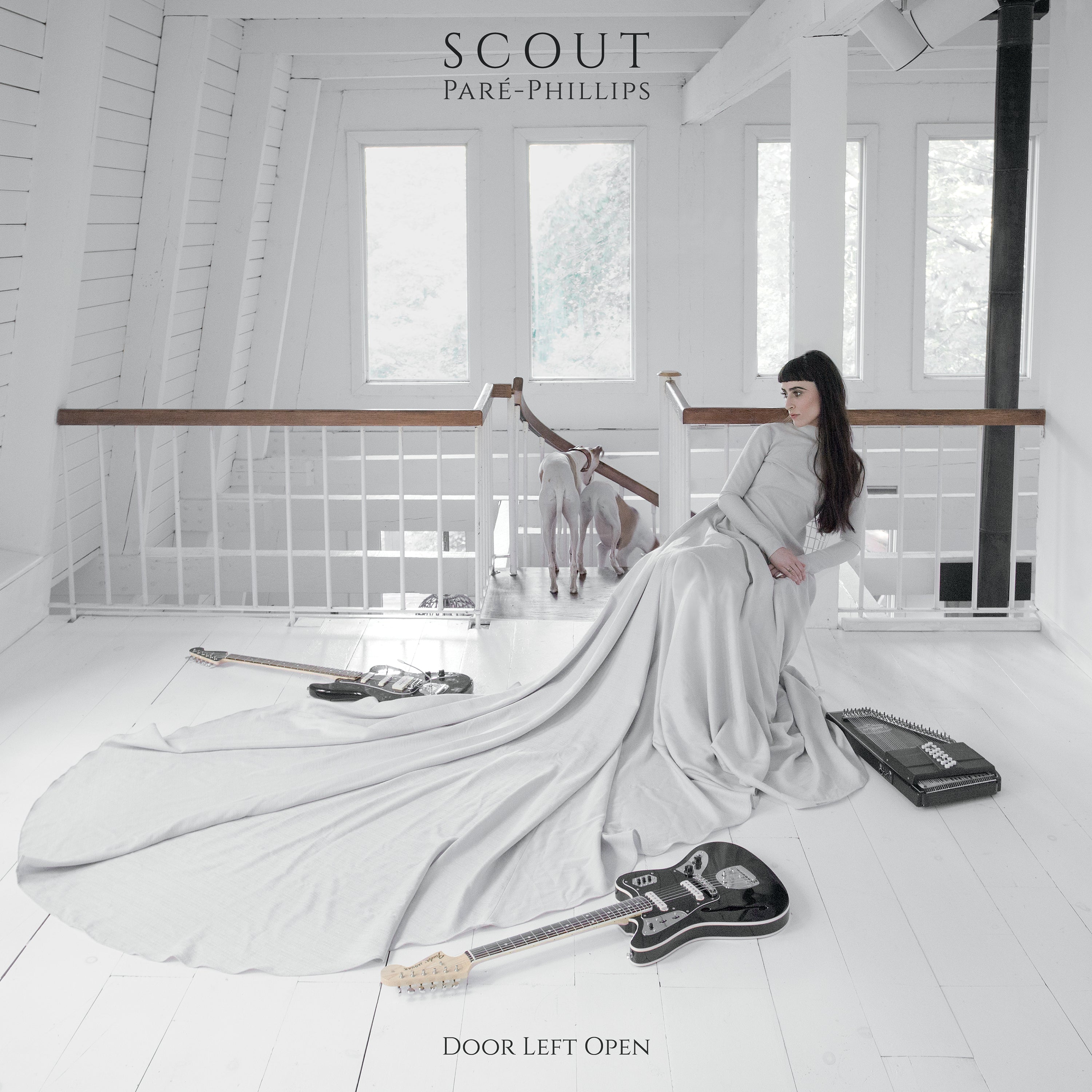 dais-records-door-left-open-vinyle-lp-noir-scout-par-phillips image 1
