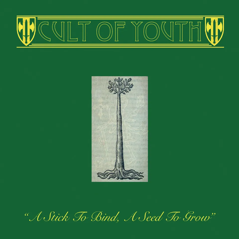 dais-records-cult-of-youth-stick-seed-vinyle-noir-lp-folk image 1
