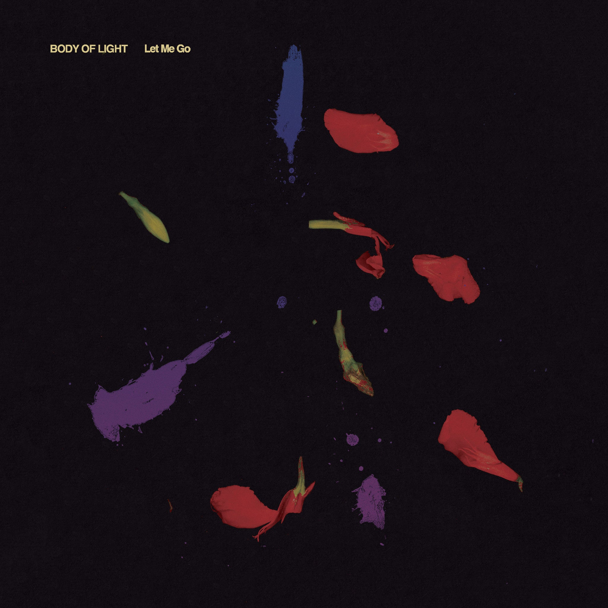 dais-body-of-light-let-me-go-vinyle-lp-noir-synth-pop image 1
