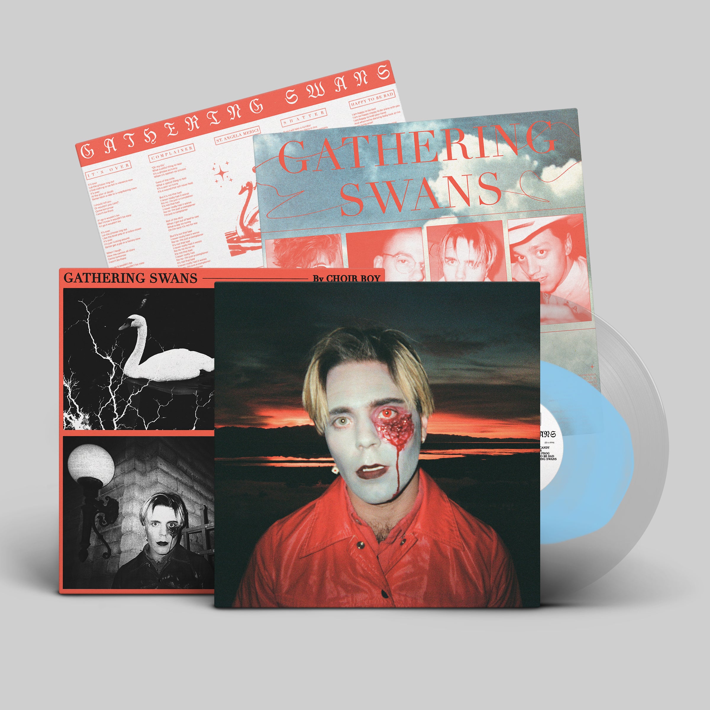 dais-choir-boy-gathering-swans-vinyle-lp-noir-indie-pop image 2