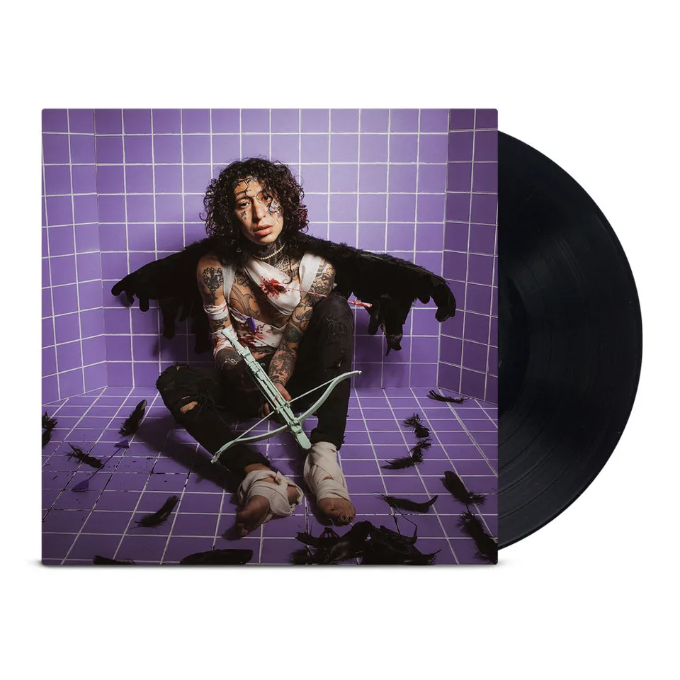 lil-lotus-err-r-b-y-lp-vinyle-noir-12-pouces-emo-pop image 1
