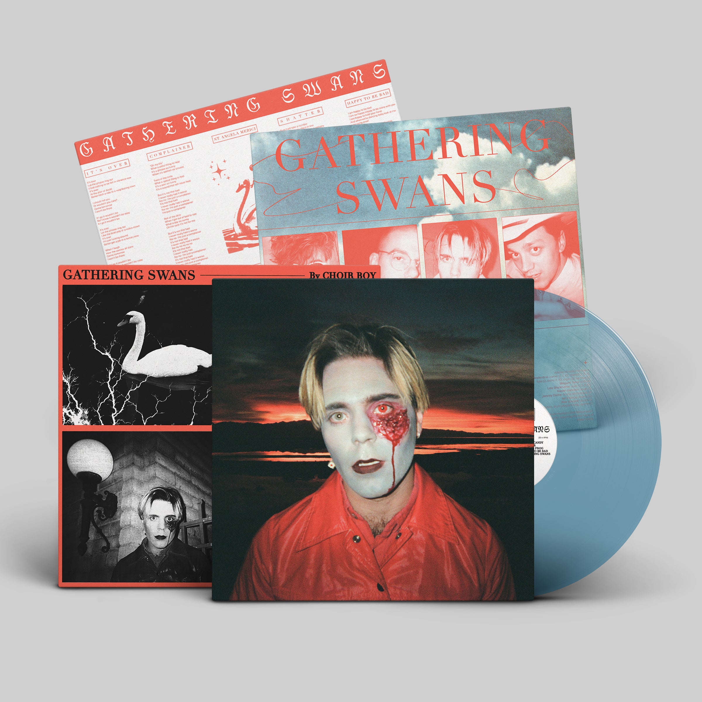 dais-choir-boy-gathering-swans-vinyle-lp-noir-indie-pop image 8