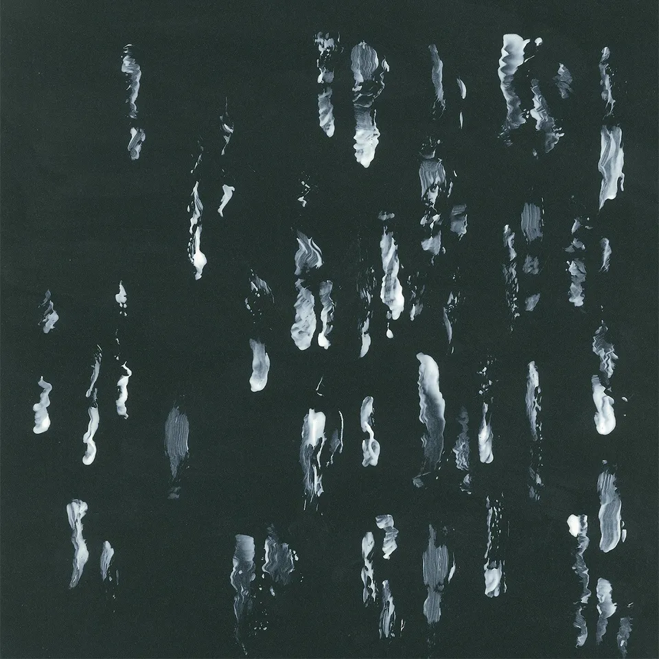 dais-records-sightings-amusers-and-puzzlers-vinyle-lp-noir image 1