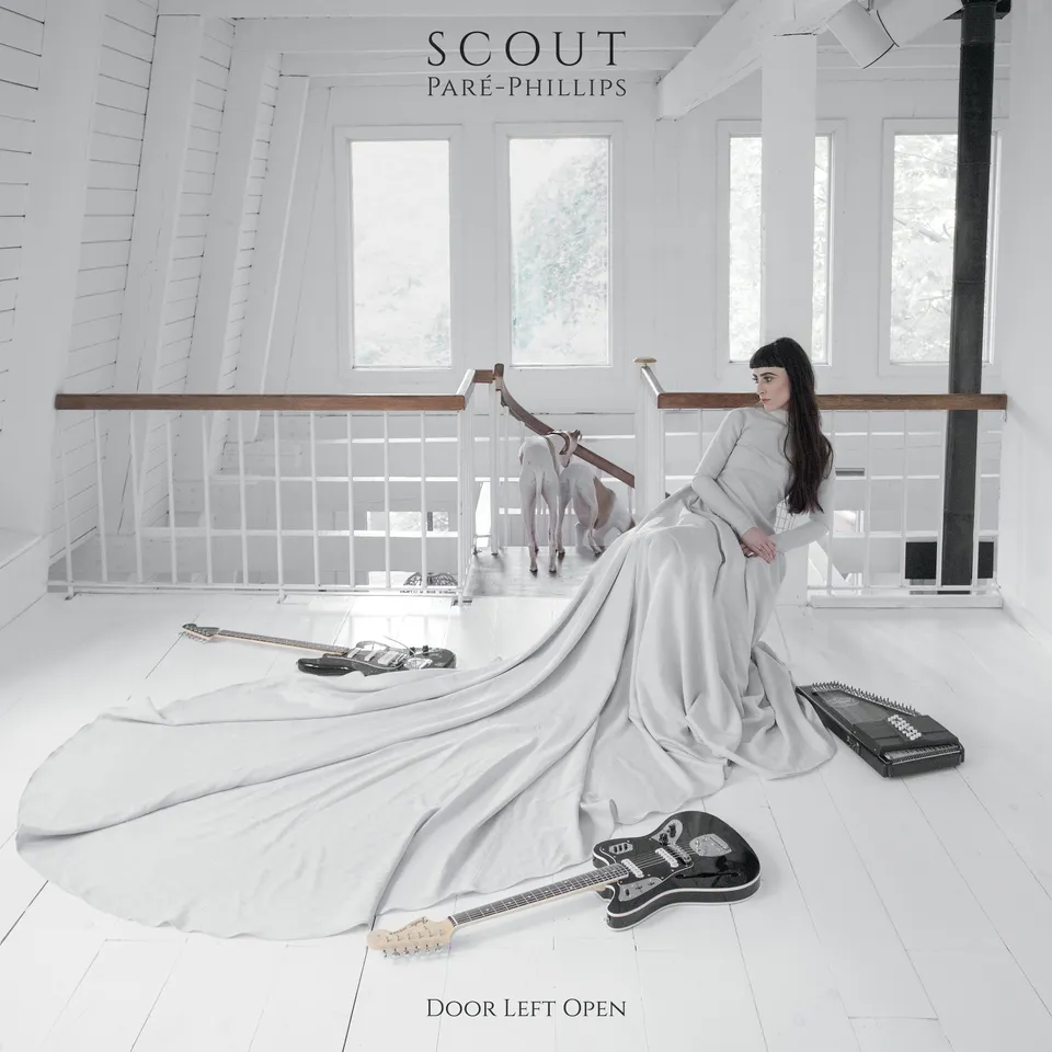 dais-records-door-left-open-vinyle-lp-noir-scout-par-phillips image 1