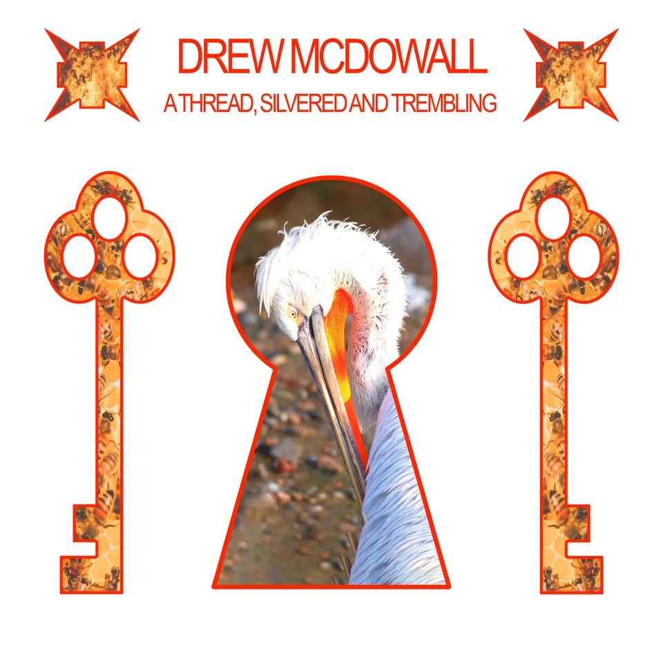 dais-drew-mcdowall-a-thread-silvered-vinyle-lp-noir image 1