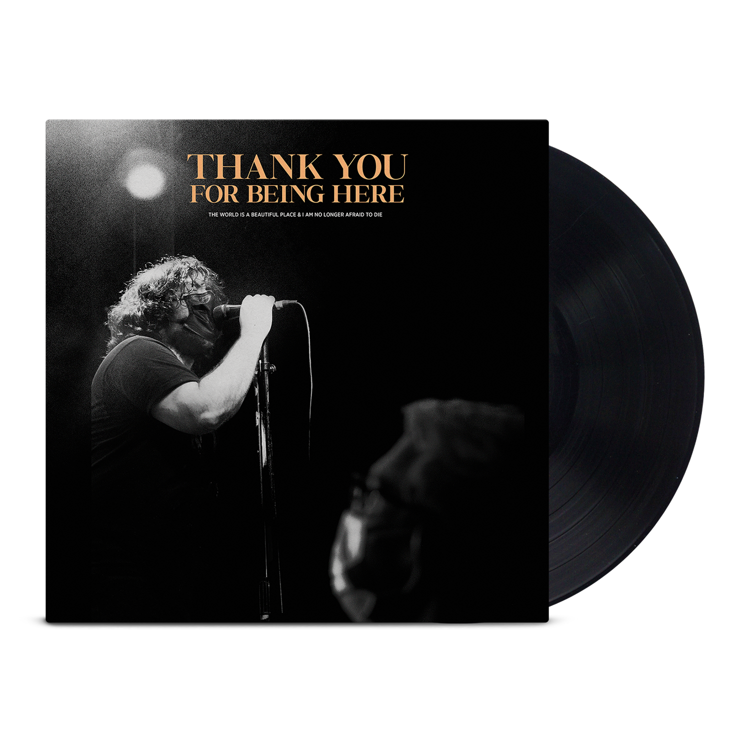 the-world-is-a-beautiful-place-thank-you-for-being-here-vinyle-live-noir-180g image 1