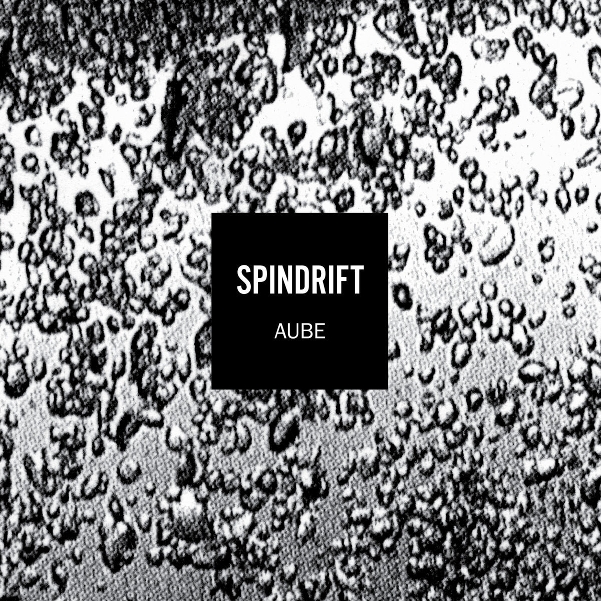 dais-records-aube-spindrift-vinyle-lp-noir-r-dition-remasteris-e image 1