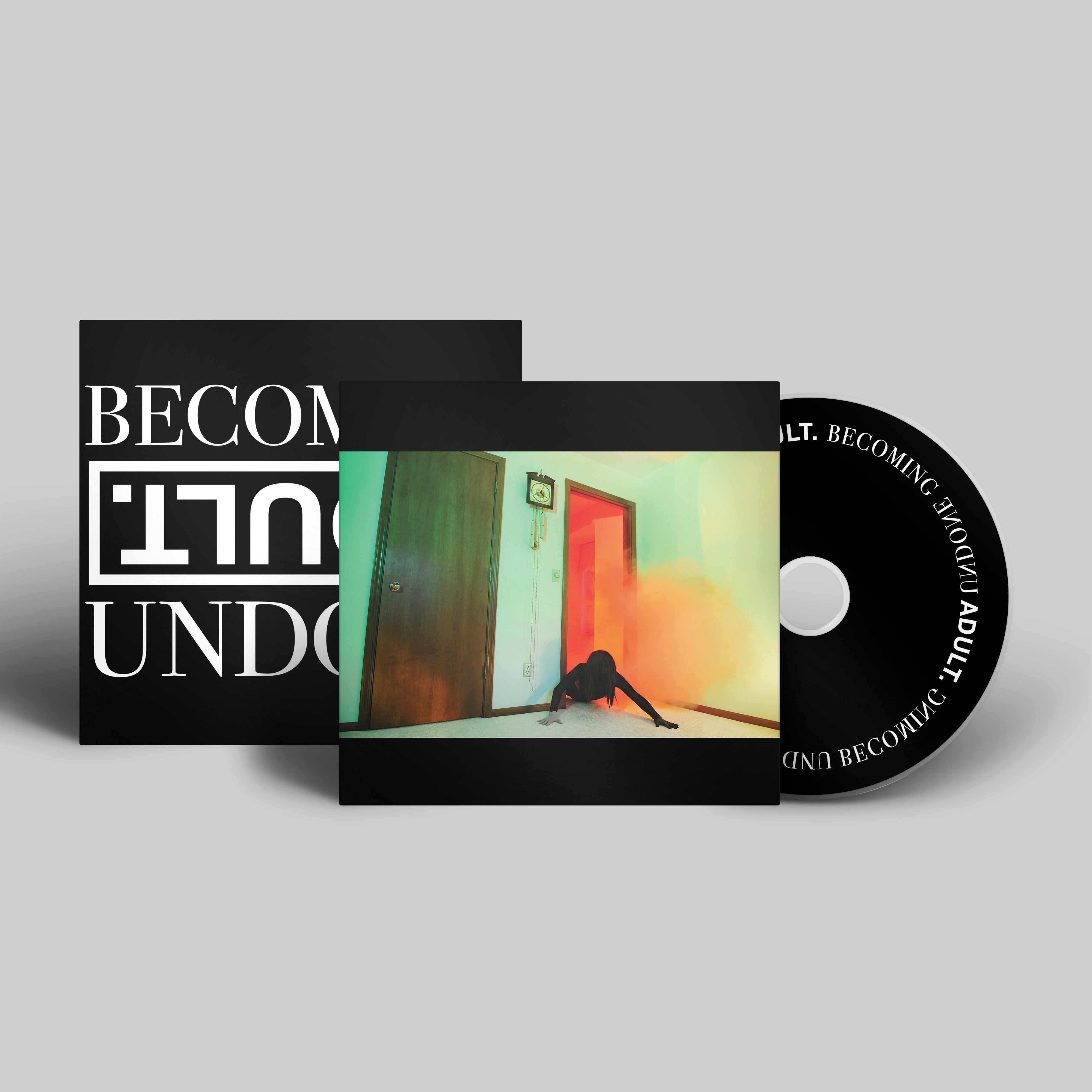 dais-records-becoming-undone-vinyle-lp-noir-synth-punk image 6