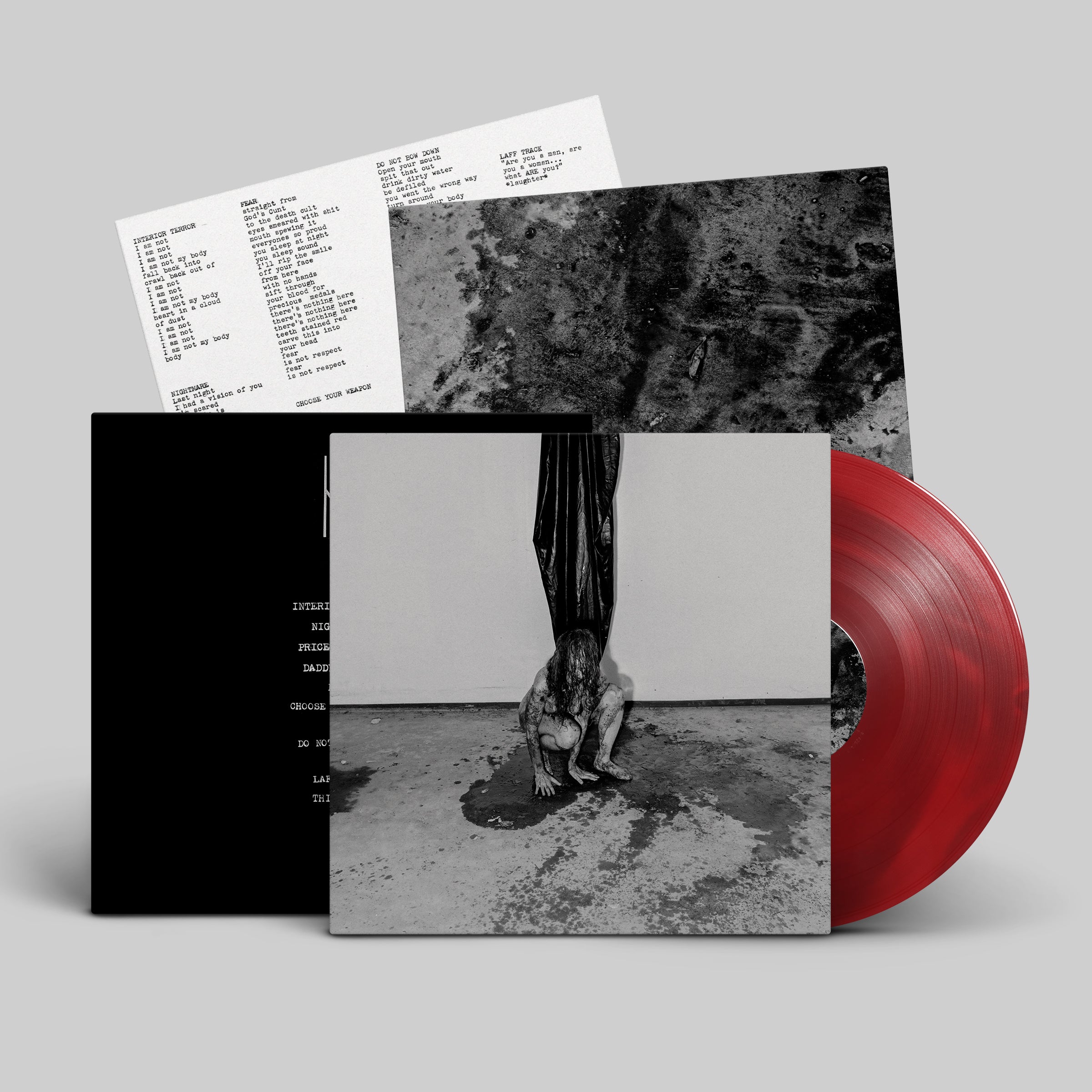 hide-interior-terror-vinyle-noir-lp-minimal-noise image 2