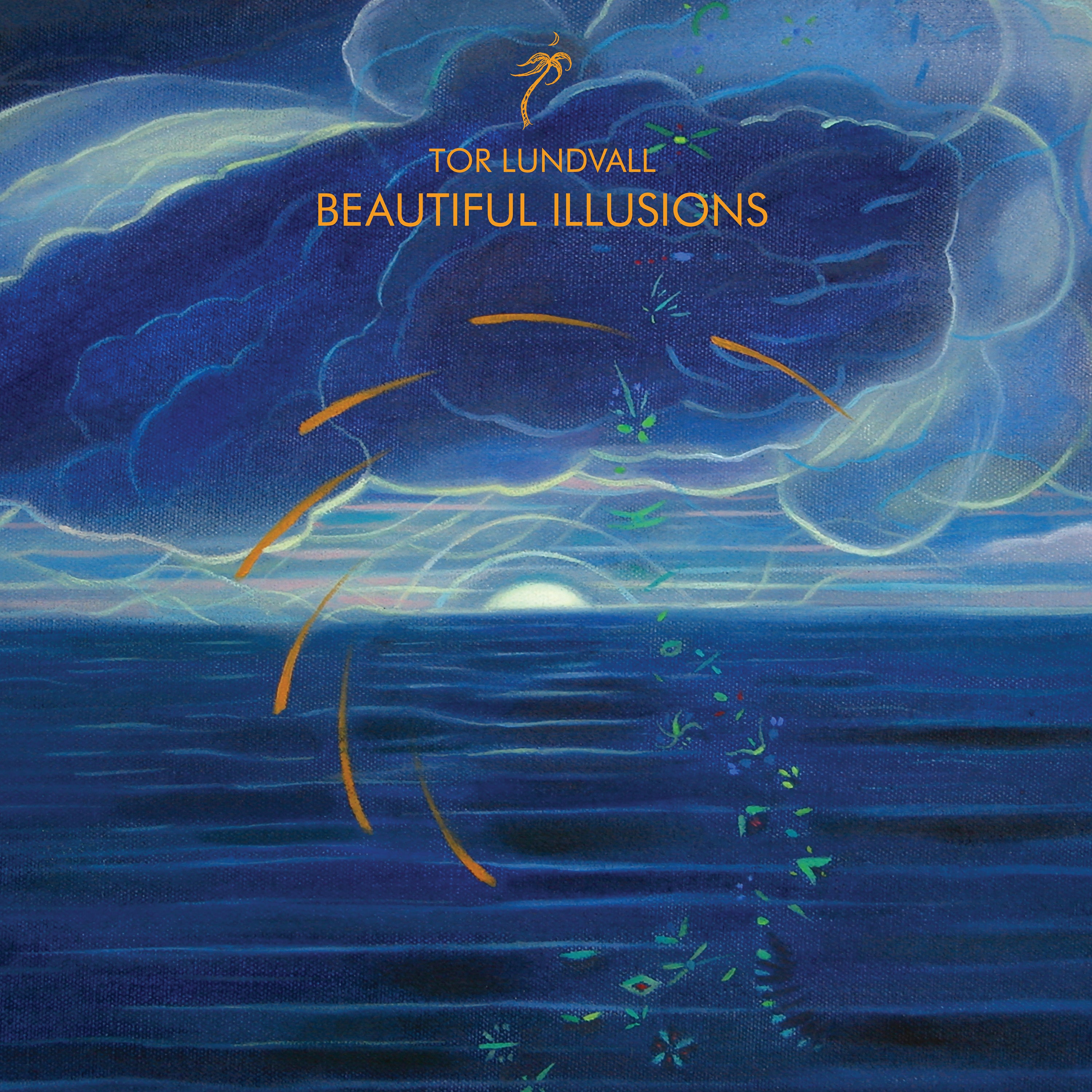 dais-vinyl-beautiful-illusions-vinyle-lp-noir-ambient image 1