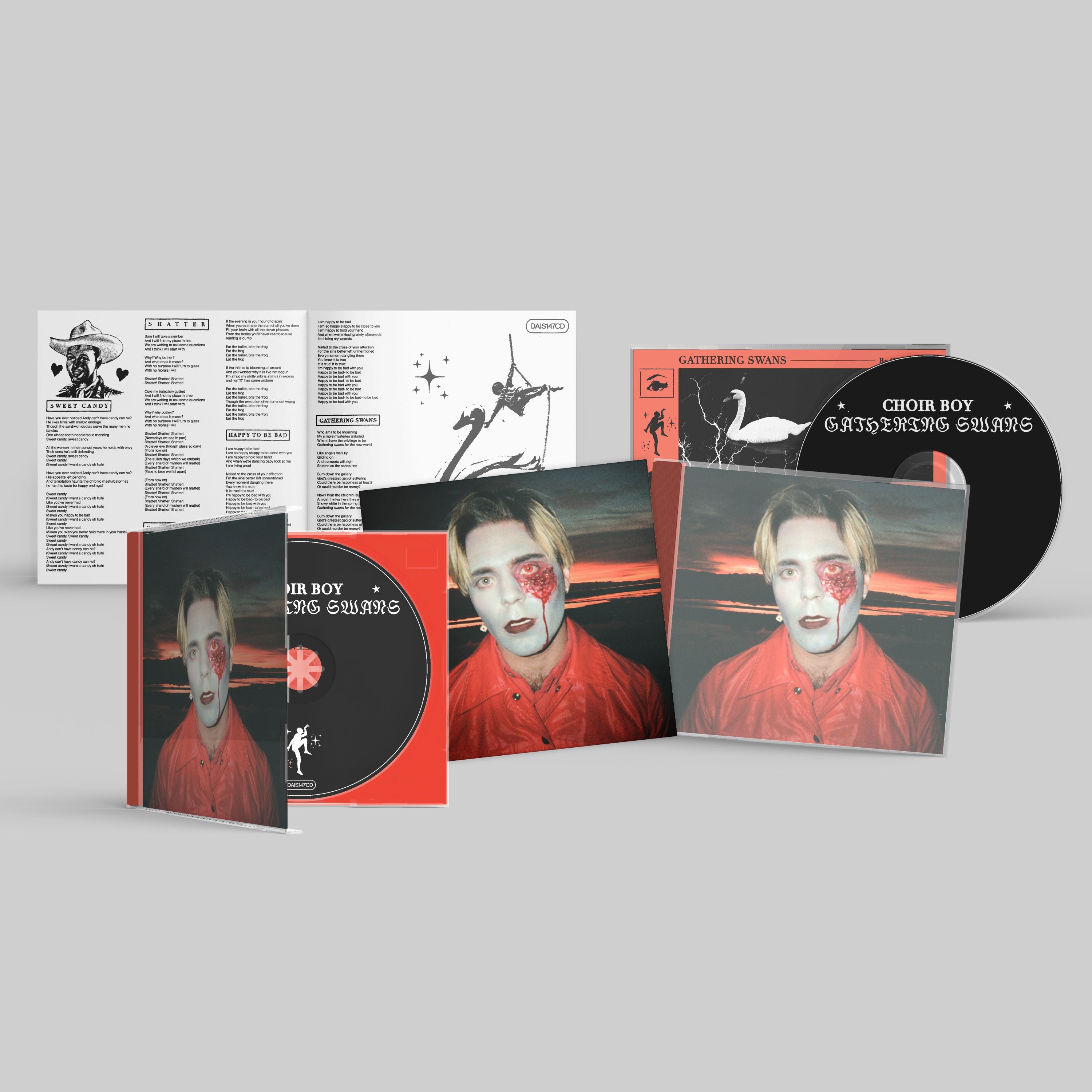 dais-choir-boy-gathering-swans-vinyle-lp-noir-indie-pop image 7
