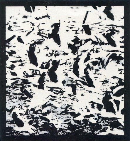 dais-bestial-mouths-gulls-cd-single-ltd-100-noise-tribal image 1