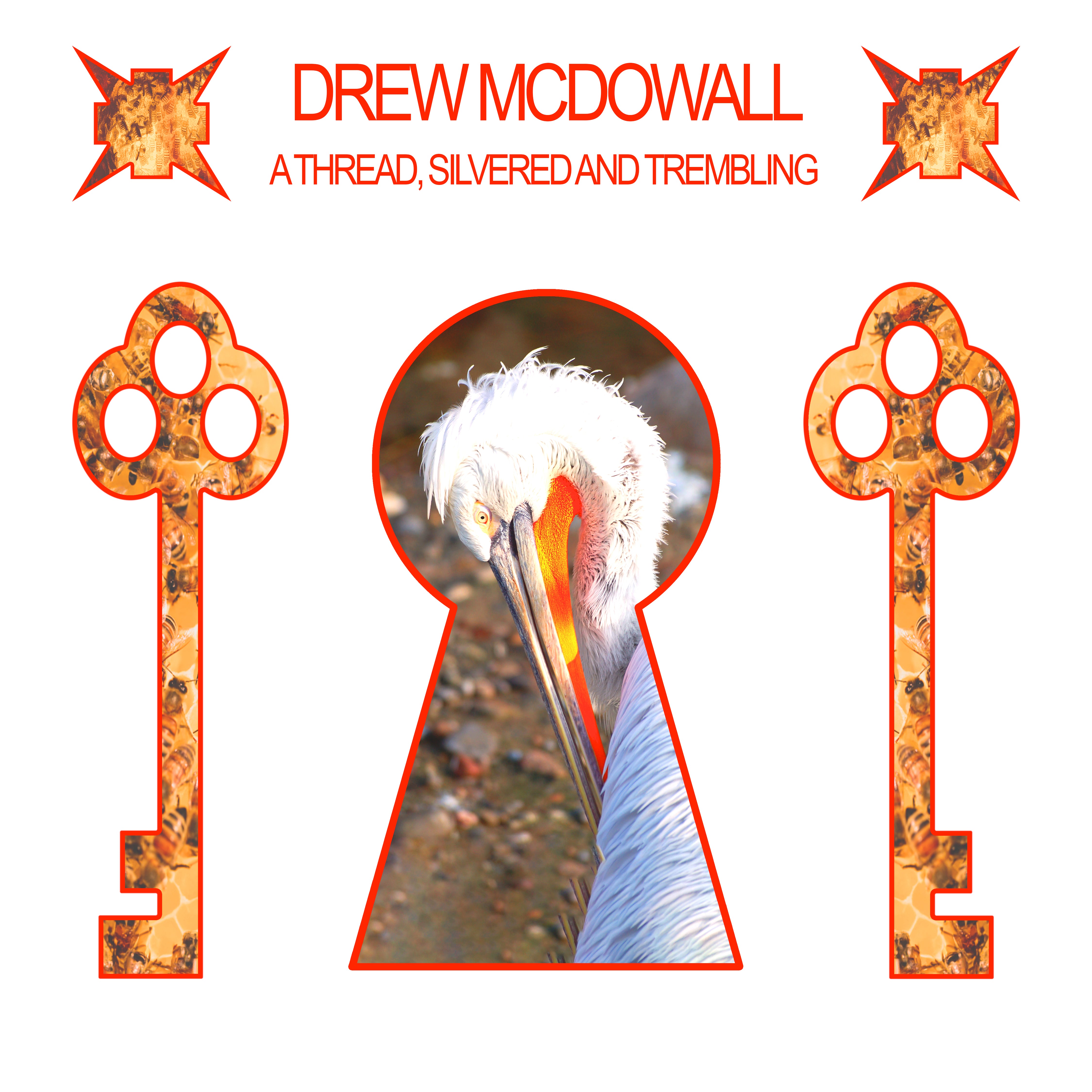 dais-drew-mcdowall-a-thread-silvered-vinyle-lp-noir image 1