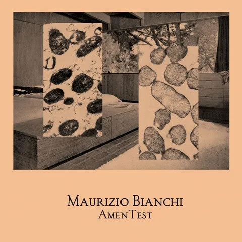 dais-records-amentest-bianchi-vinyle-7-pouces-industriel image 1