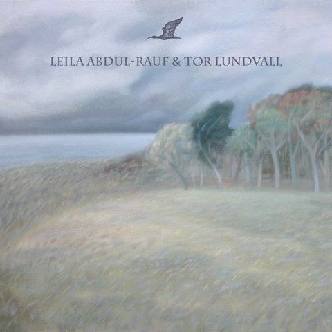 dais-tor-lundvall-ibis-vinyle-7-noir-ambient image 1