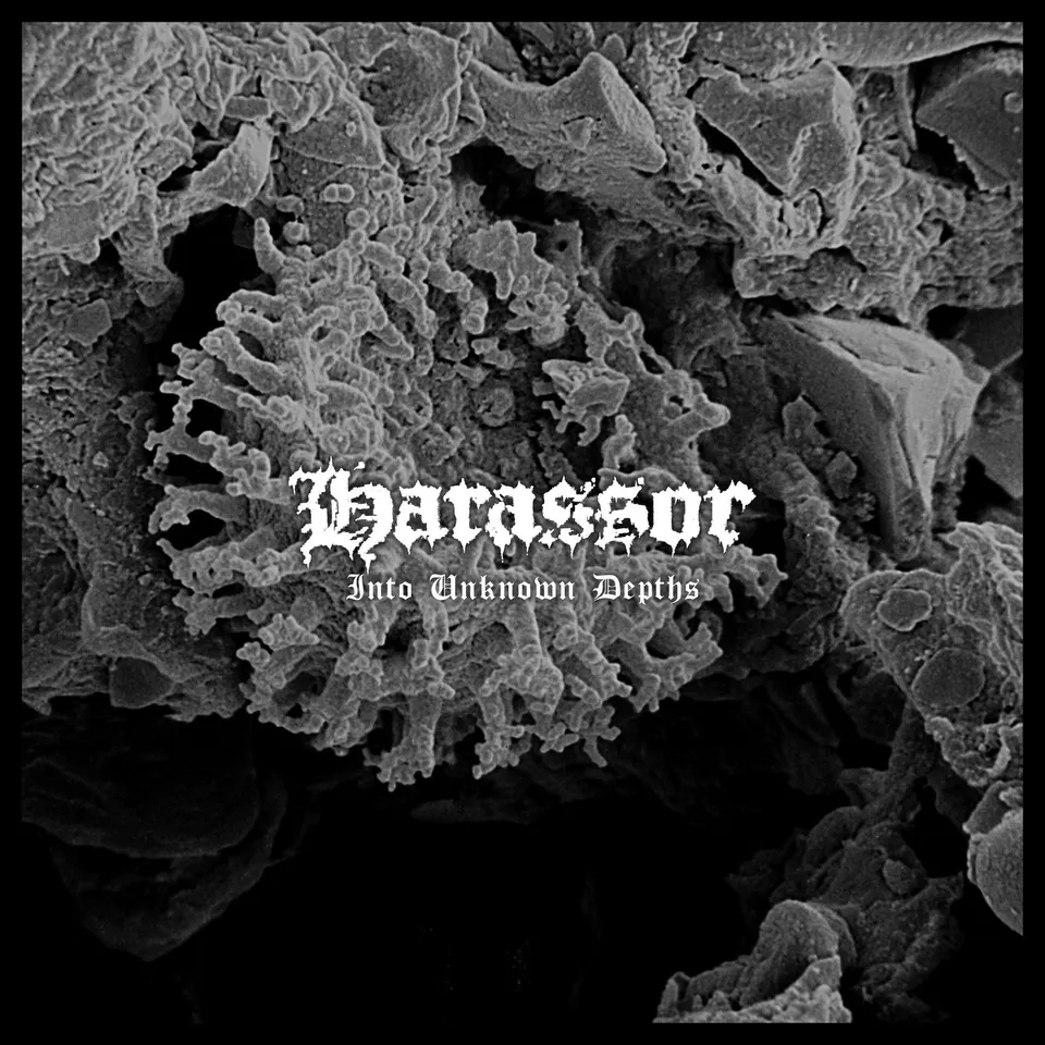 harassor-into-unknown-depths-vinyle-lp-noir-limit-250 image 1
