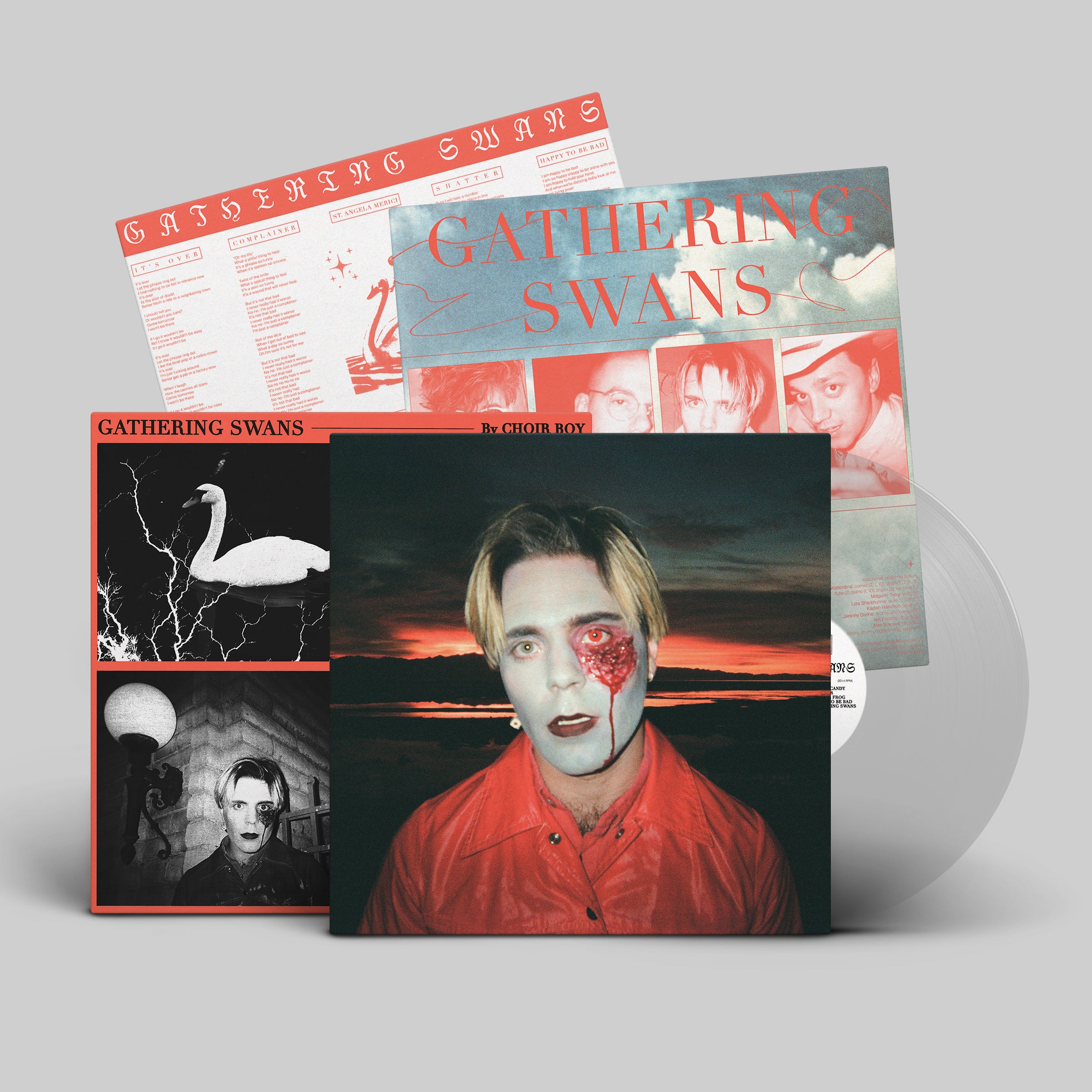 dais-choir-boy-gathering-swans-vinyle-lp-noir-indie-pop image 4