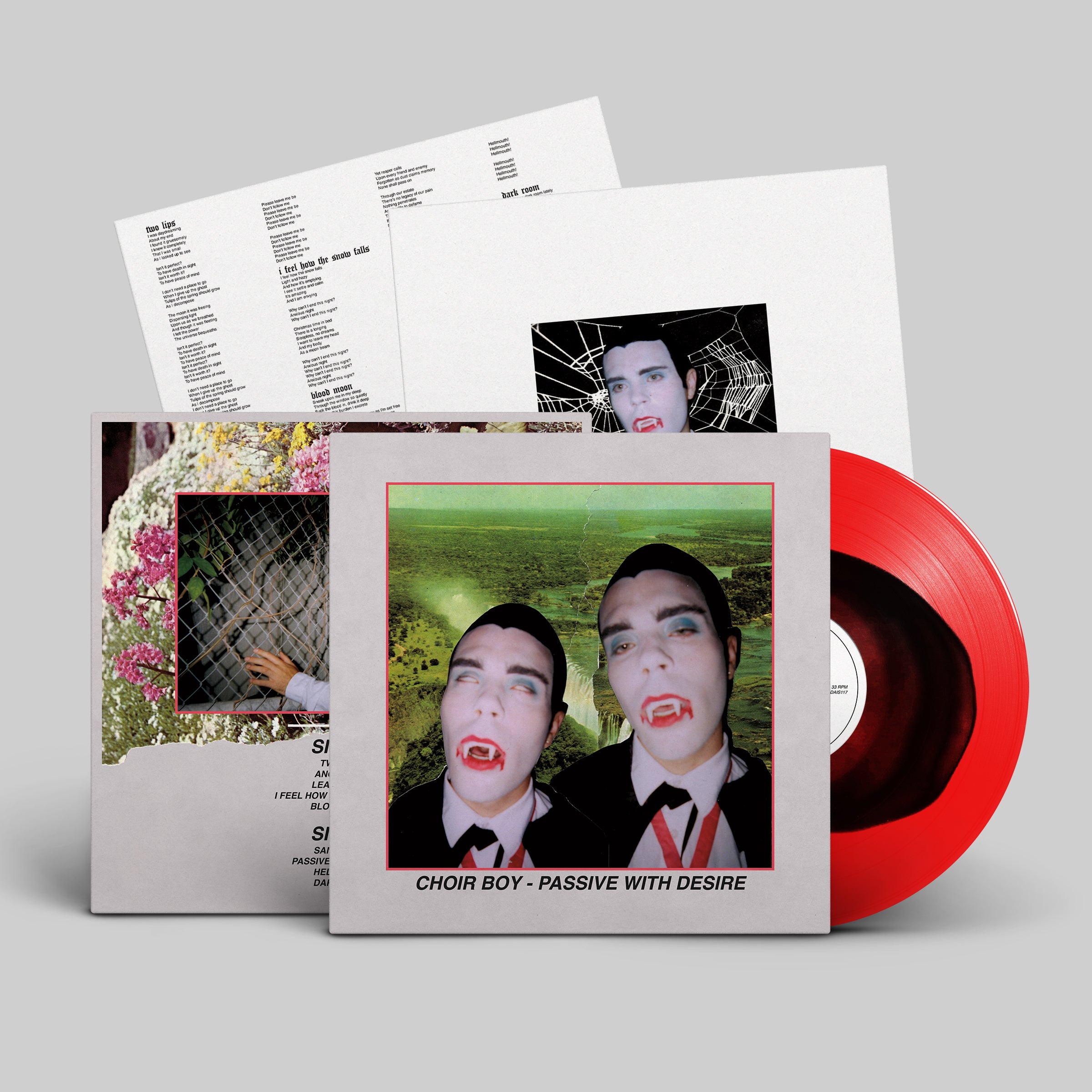dais-choir-boy-passive-with-desire-vinyle-lp-noir image 3