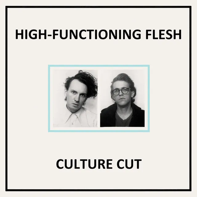 dais-records-culture-cut-vinyle-lp-noir-high-functioning-flesh image 1