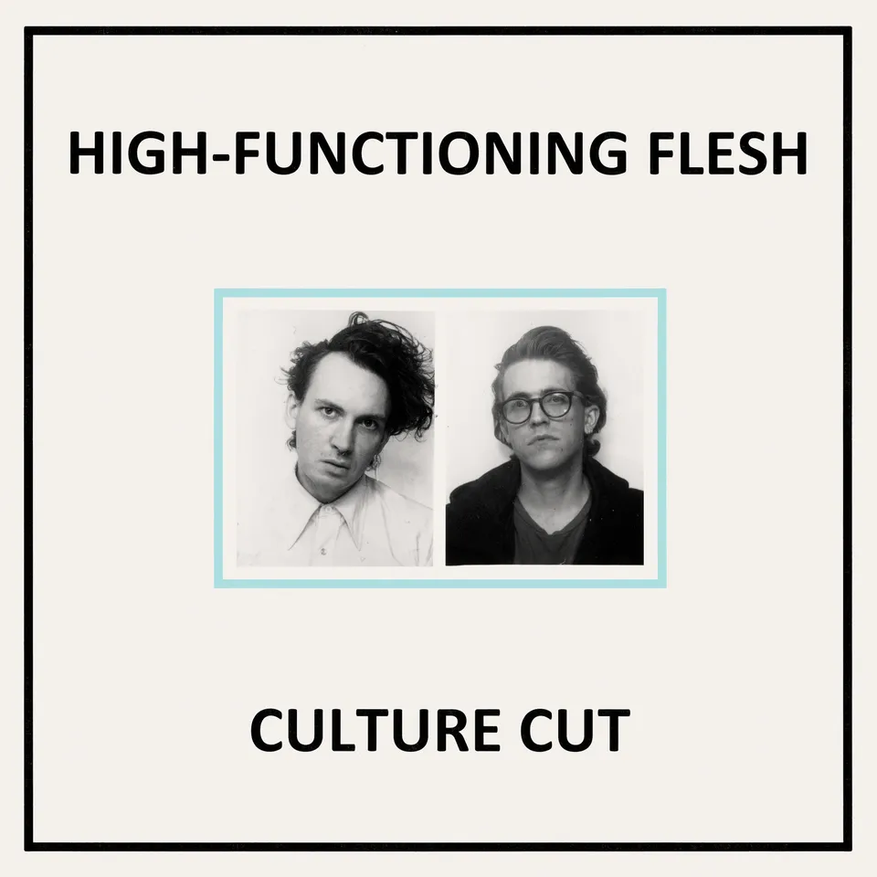 dais-records-culture-cut-vinyle-lp-noir-high-functioning-flesh image 1