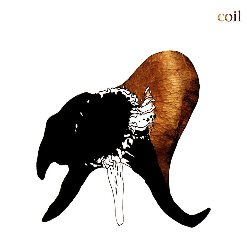 dais-records-coil-black-antlers-double-vinyle-2xlp-noir image 1