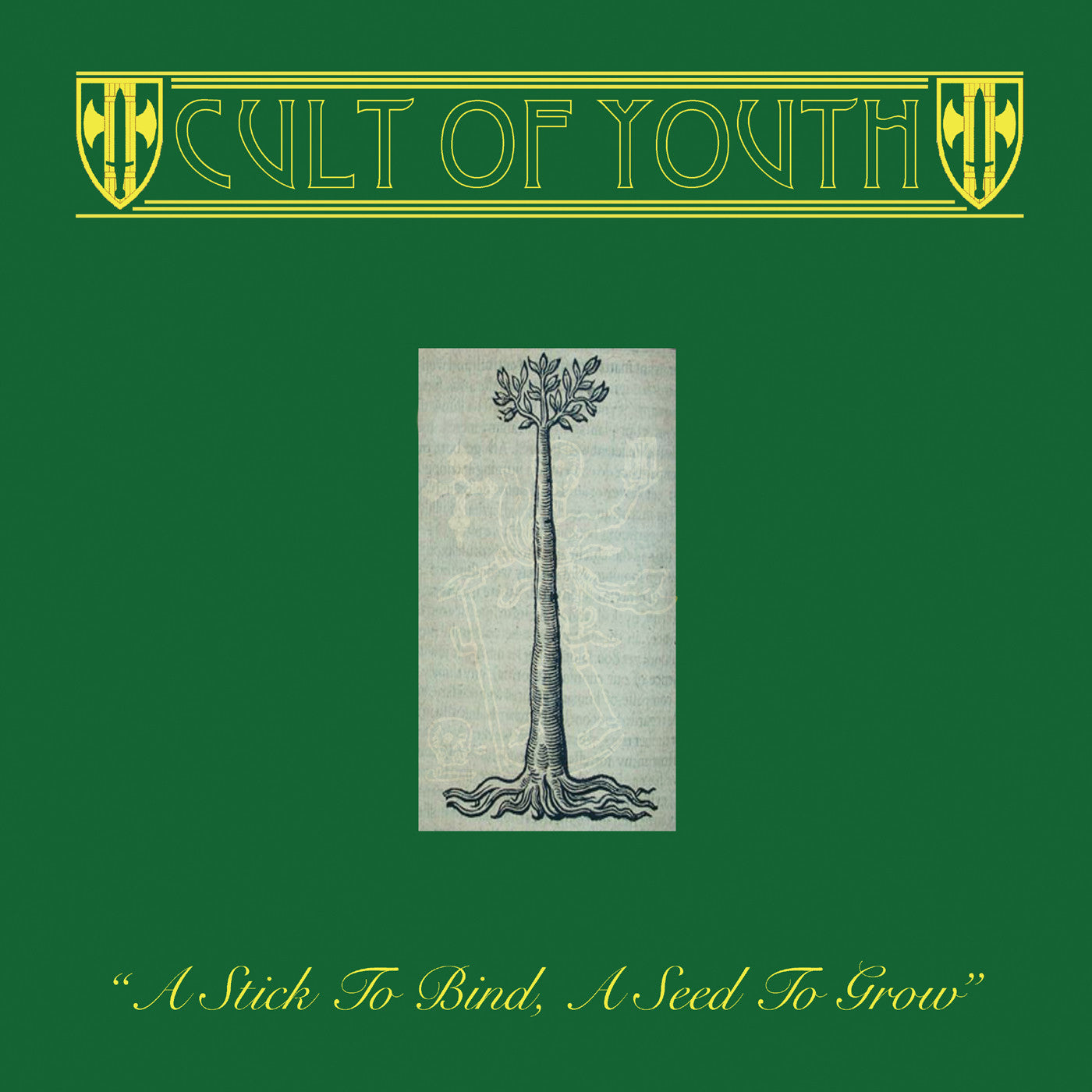 dais-records-cult-of-youth-stick-seed-vinyle-noir-lp-folk image 1