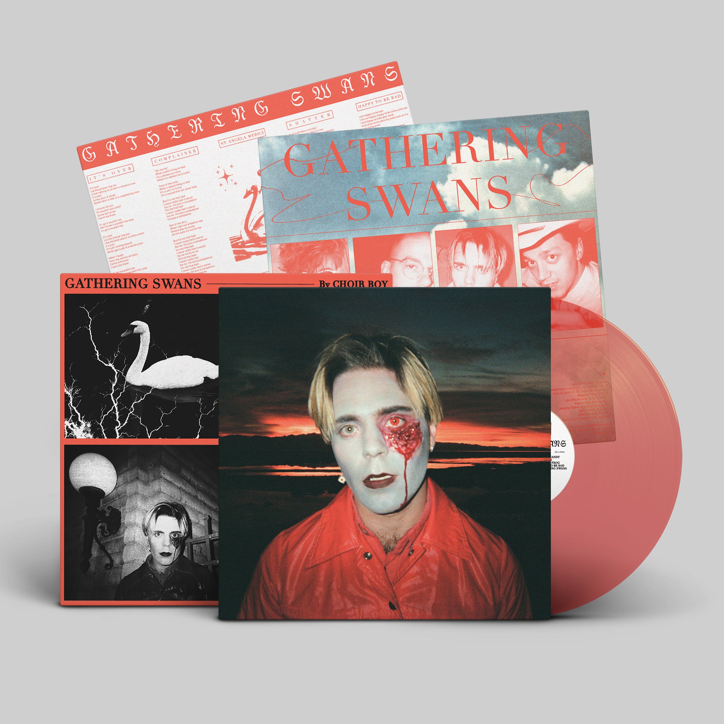 dais-choir-boy-gathering-swans-vinyle-lp-noir-indie-pop image 5