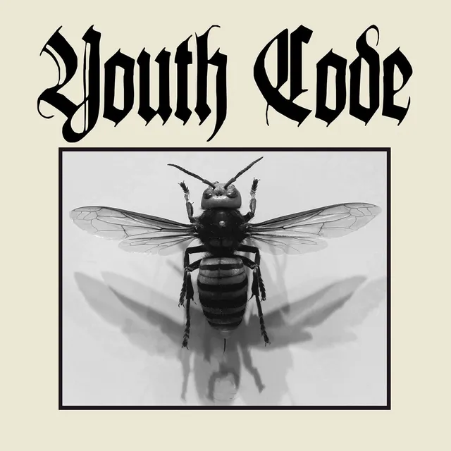 dais-records-anagnorisis-vinyle-7-noir-youth-code-ebm image 1