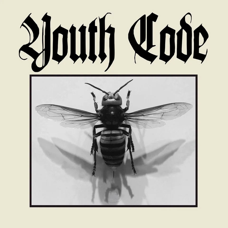 dais-records-anagnorisis-vinyle-7-noir-youth-code-ebm image 1