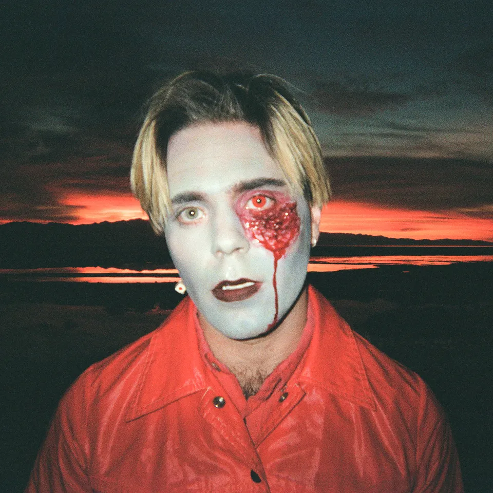 dais-choir-boy-gathering-swans-vinyle-lp-noir-indie-pop image 1
