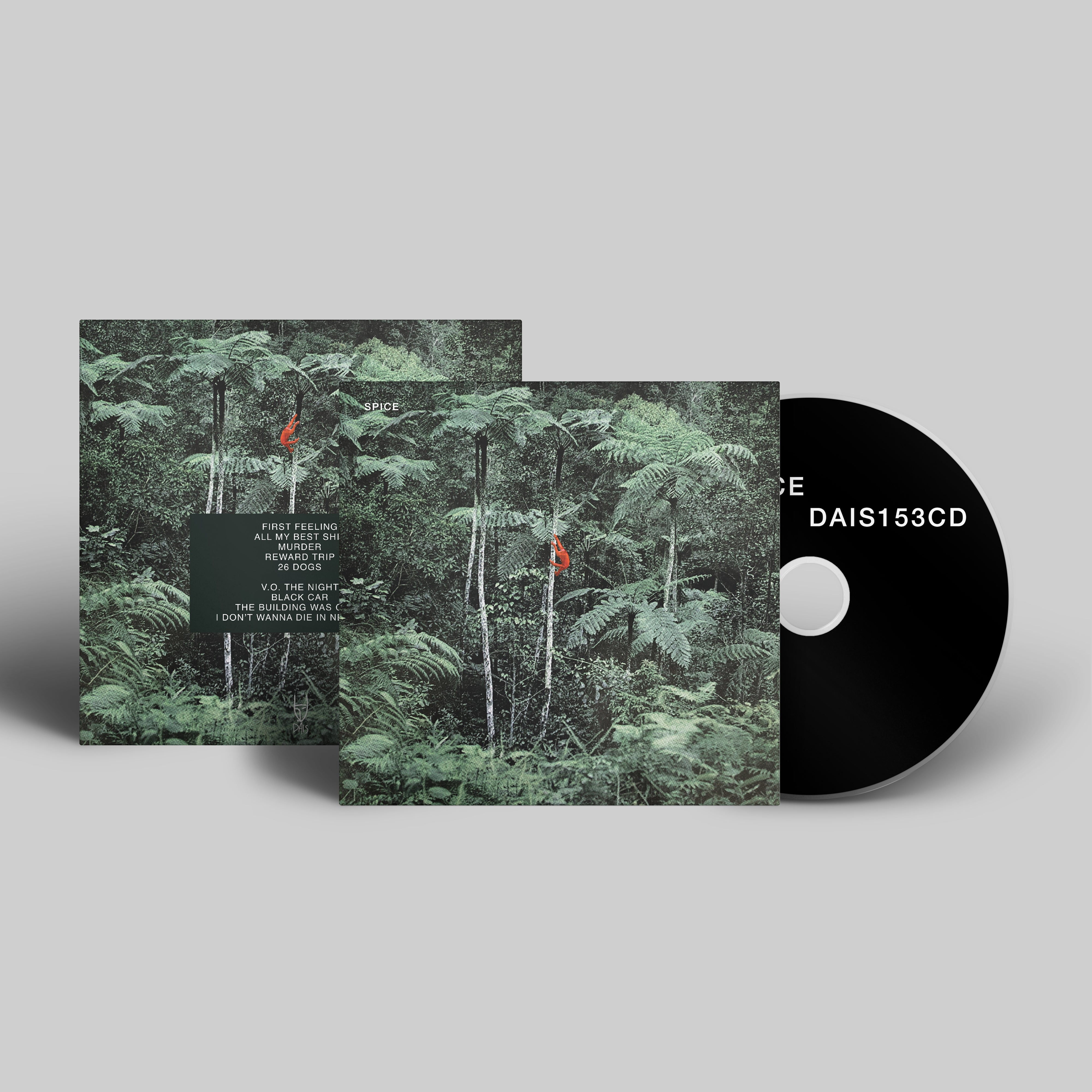 dais-records-spice-vinyle-lp-noir-post-punk-indie-guitare image 7