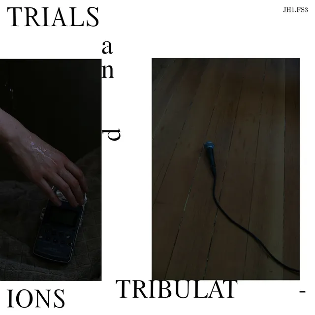 dais-vinyl-trials-and-tribulations-vinyle-lp-noir-exp-rimental image 1