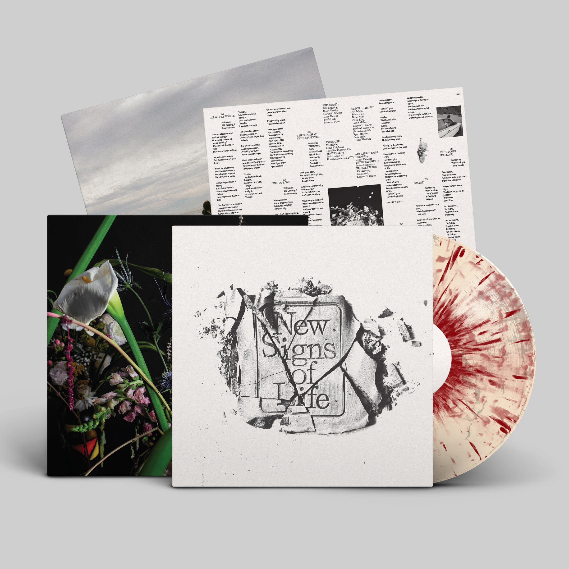 dais-records-new-signs-of-life-vinyle-lp-noir-rock image 2