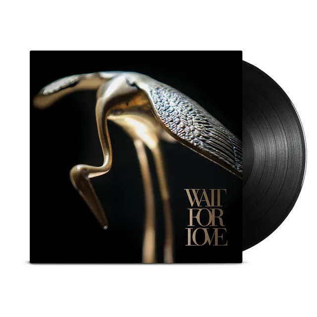 pianos-become-the-teeth-wait-for-love-vinyle-noir-post-hardcore image 1