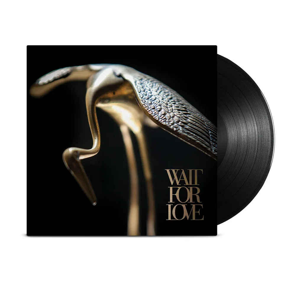 pianos-become-the-teeth-wait-for-love-vinyle-noir-post-hardcore image 1