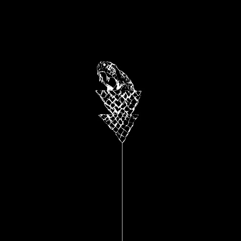 dais-records-wetware-flail-vinyle-lp-noir-electro-11-titres image 1