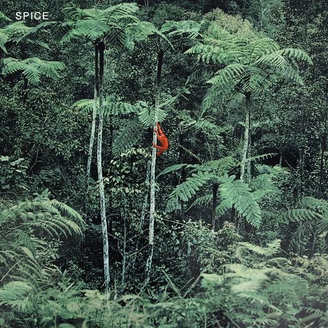 dais-records-spice-vinyle-lp-noir-post-punk-indie-guitare image 1