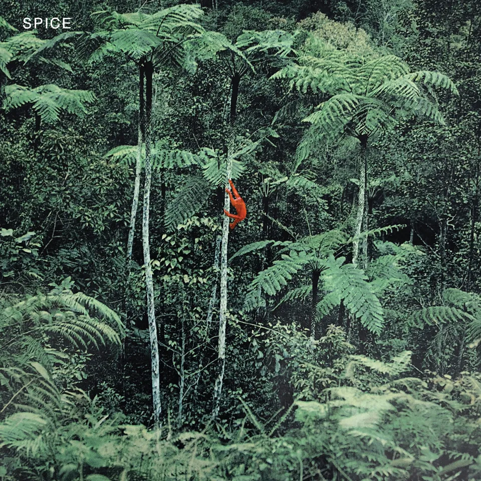 dais-records-spice-vinyle-lp-noir-post-punk-indie-guitare image 1