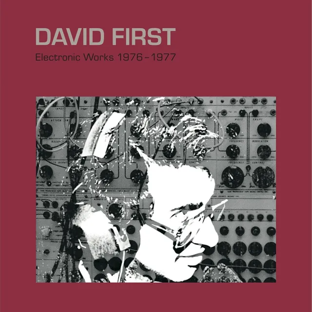 dais-records-david-first-electronic-works-vinyle-lp-noir image 1