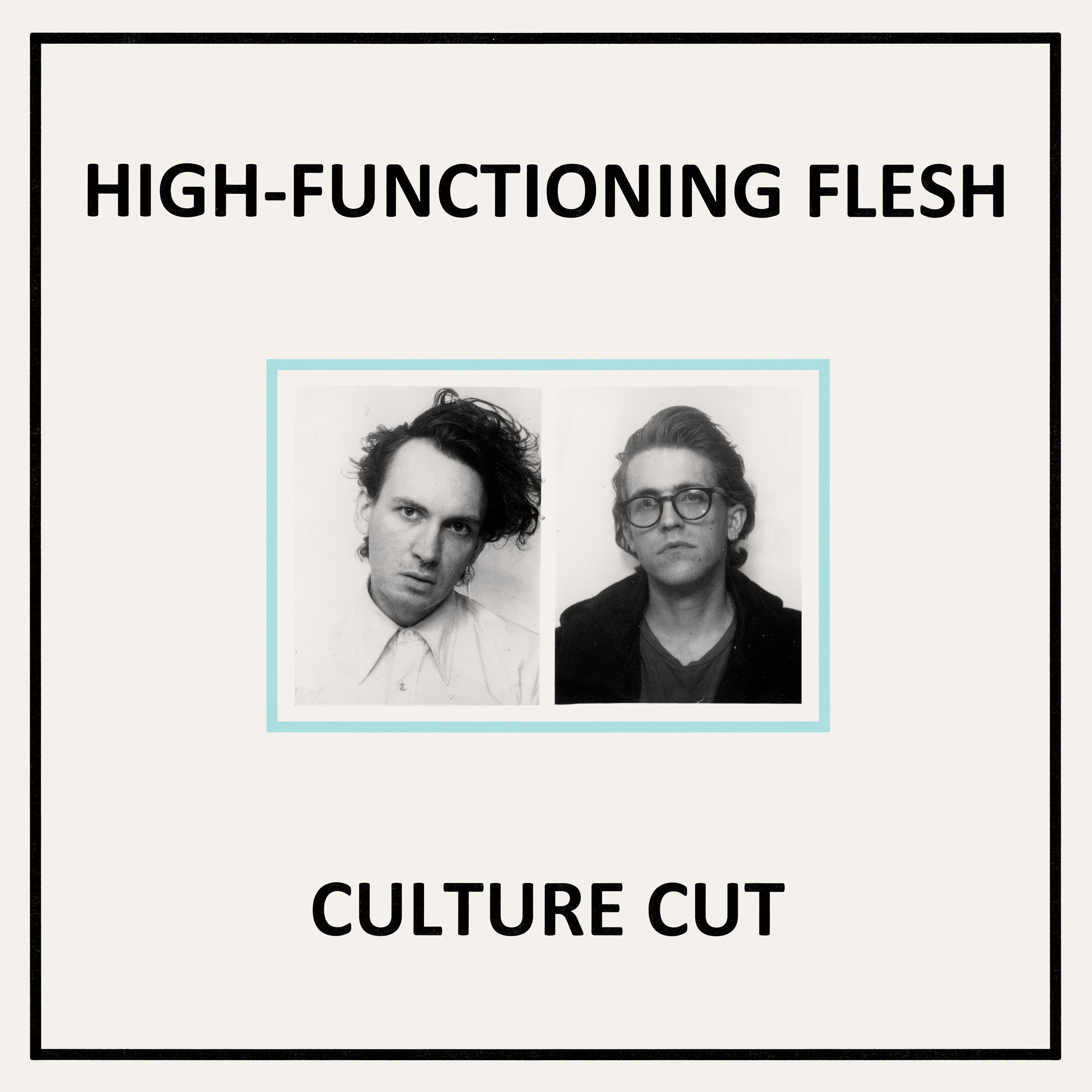 dais-records-culture-cut-vinyle-lp-noir-high-functioning-flesh image 1
