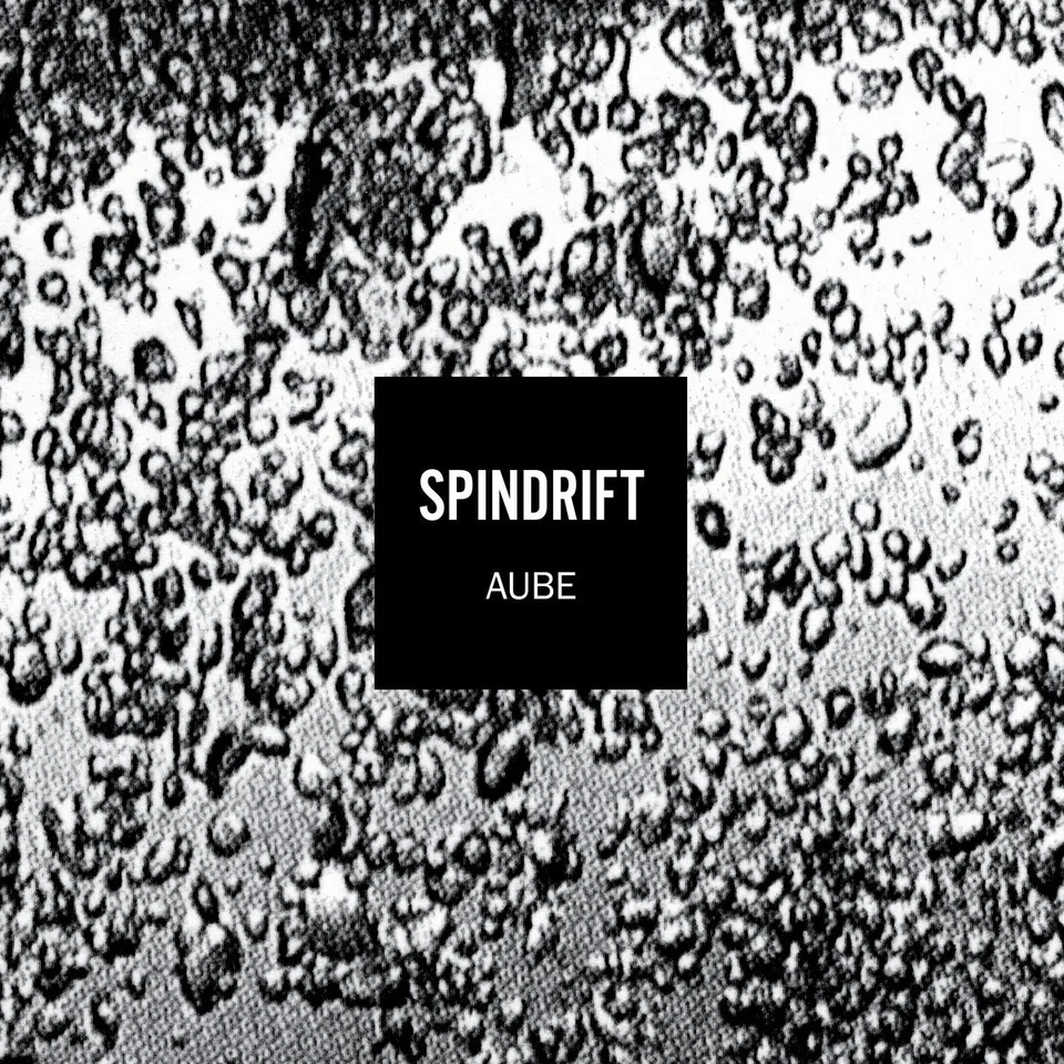 dais-records-aube-spindrift-vinyle-lp-noir-r-dition-remasteris-e image 1