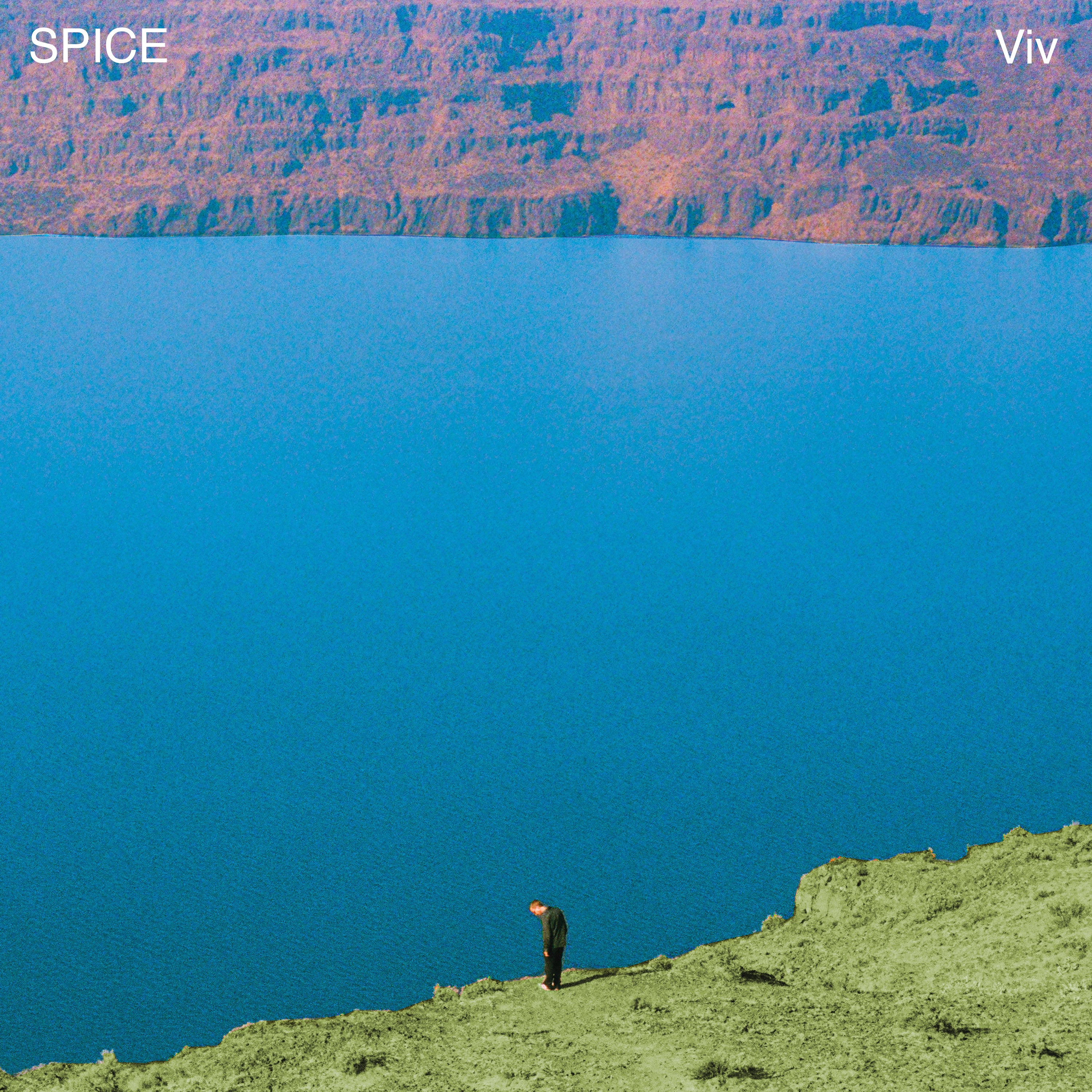 dais-records-spice-viv-vinyle-lp-noir-rock-californien image 1