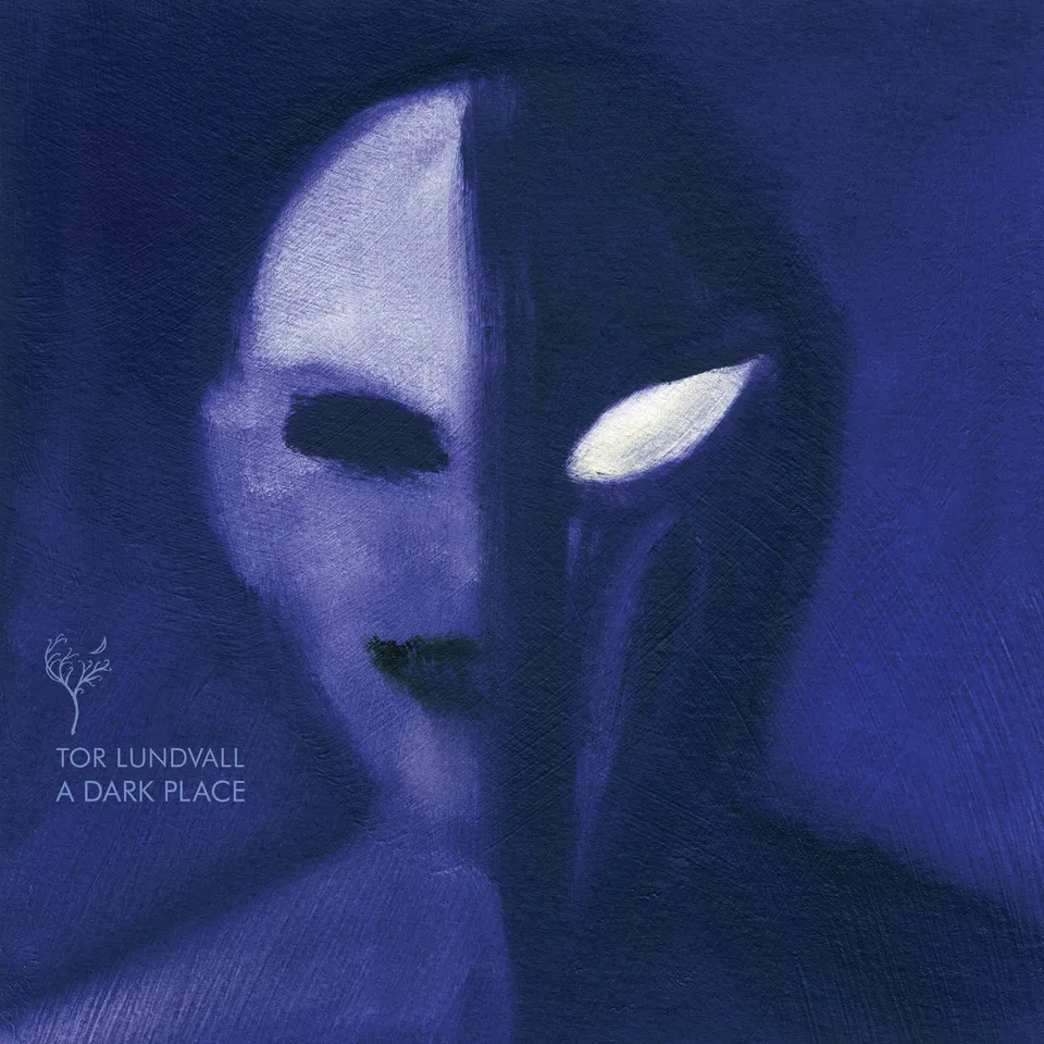 dais-tor-lundvall-a-dark-place-vinyle-lp-noir image 1