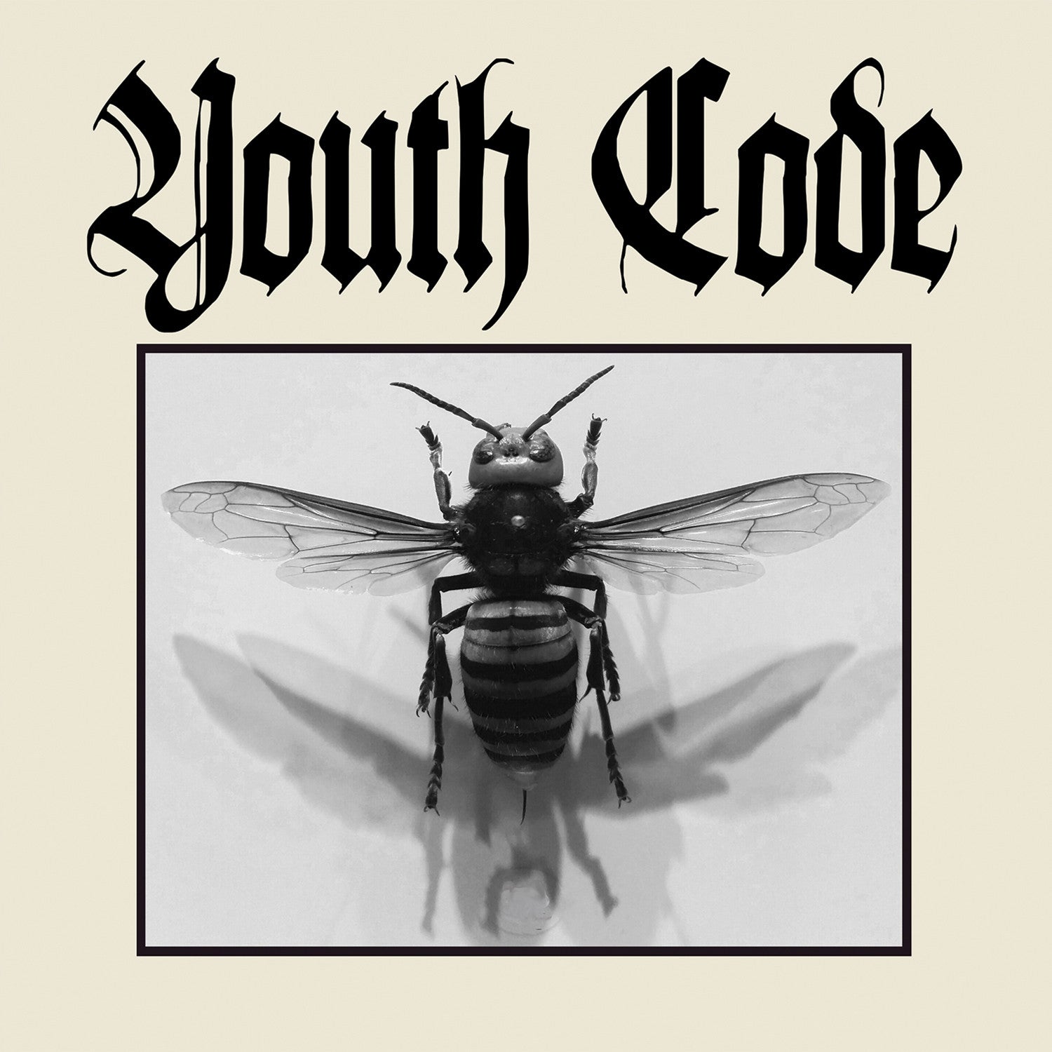 dais-records-anagnorisis-vinyle-7-noir-youth-code-ebm image 1